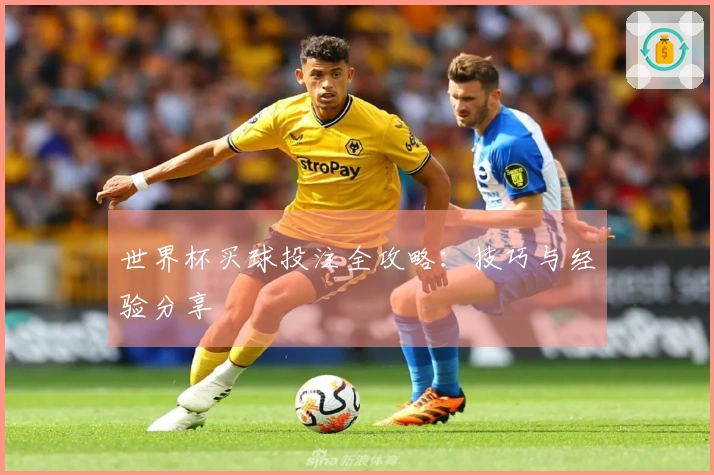 世界杯买球投注全攻略：技巧与经验分享