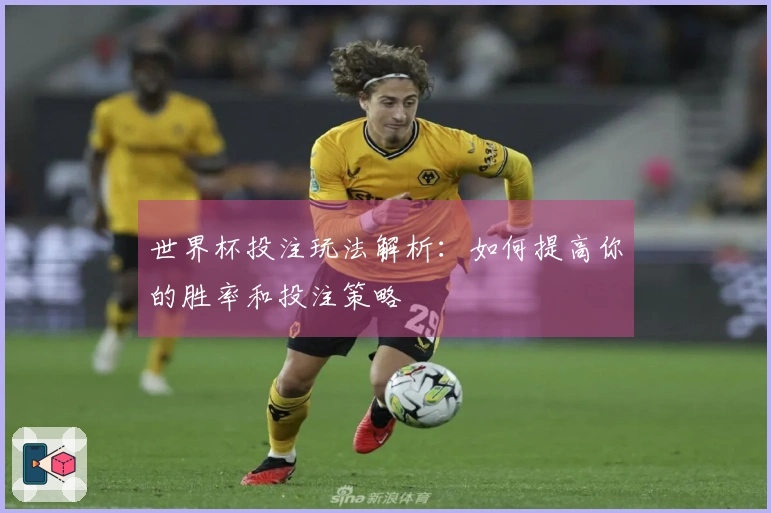 世界杯投注玩法解析：如何提高你的胜率和投注策略