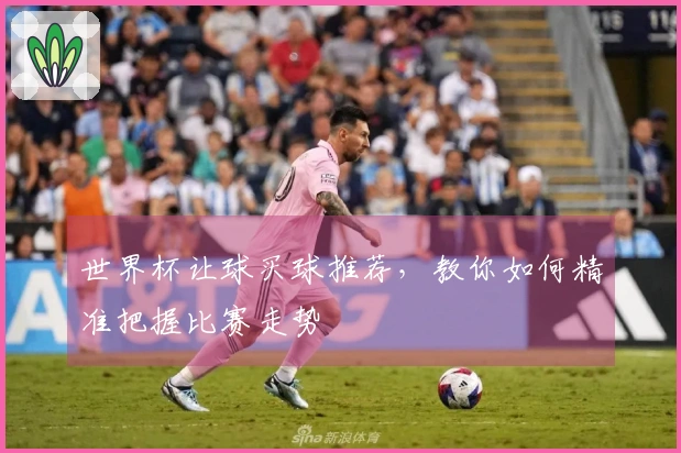 世界杯让球买球推荐，教你如何精准把握比赛走势