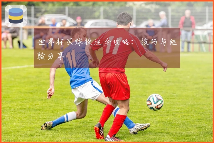 世界杯买球投注全攻略：技巧与经验分享