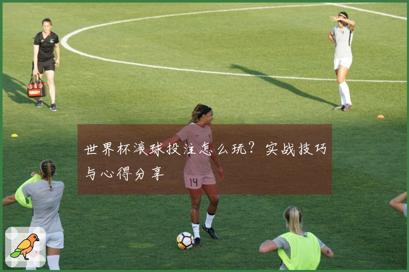 世界杯滚球投注怎么玩？实战技巧与心得分享