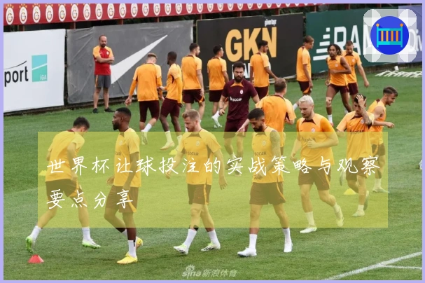 世界杯让球投注的实战策略与观察要点分享